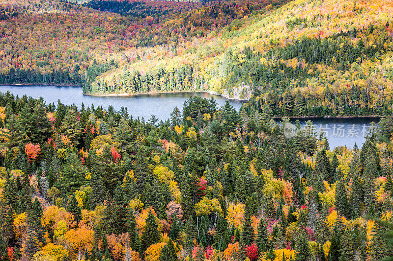 l ' île aux pins(松树岛)位于加拿大Québec省的La Mauricie国家公园。